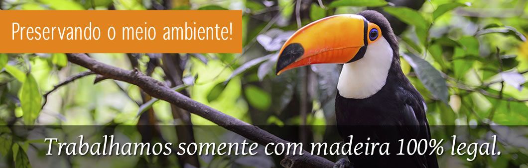 Preservando O Meio Ambiente Madeireira